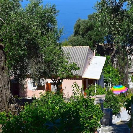 Kiki'S Beautiful House On Famous Village Πεντάτιο Εξωτερικό φωτογραφία