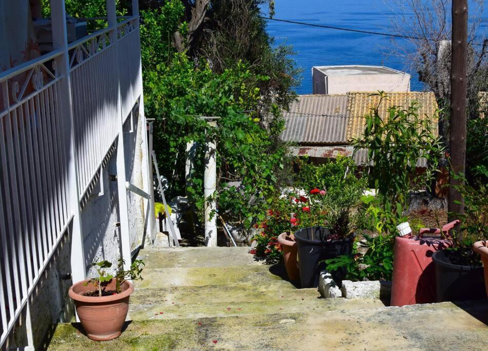 Kiki'S Beautiful House On Famous Village Πεντάτιο Εξωτερικό φωτογραφία