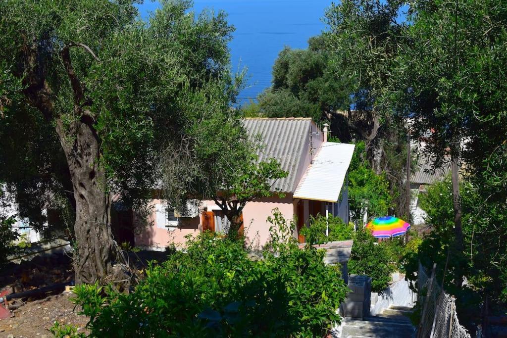 Kiki'S Beautiful House On Famous Village Πεντάτιο Εξωτερικό φωτογραφία